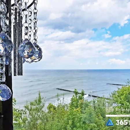 Boulevard Deluxe - 365pam